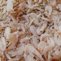 基围虾的营养价值 吃基围虾有助身体健康