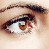 网变煎剂治疗视网膜色素变性