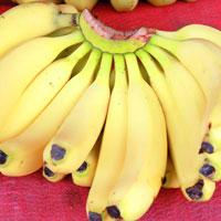 吃香蕉的好处 多吃香蕉能治高血压胃溃疡