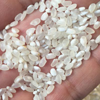 吃大米的好处 大米营养丰富多吃对人体好