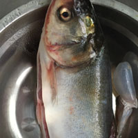 鲢鱼的营养价值 多吃鲢鱼能帮助治疗肝炎