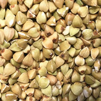 荞麦的功效 多多食用荞麦能促进新陈代谢