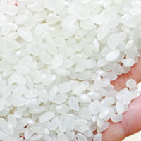 粳米和大米的区别 粳米和大米的营养价值