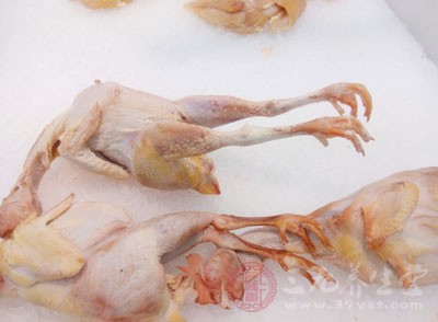 鸡鸭鱼肉的哪些部位有毒不能吃