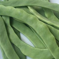 吃扁豆的好处 吃扁豆可以防治缺铁性贫血