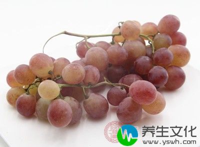葡萄中还含有维生素P，用葡萄种子油15克口服即可降低胃酸毒性