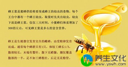 蜂王浆是蜜蜂供给将要变成蜂王的幼虫的食物