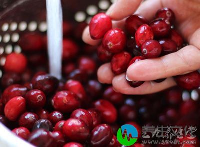 蔓越莓已经成为美国家庭不可或缺的佐餐佳品及日常饮食伙伴