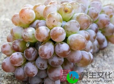 葡萄可食部分为84%,其中含水分87克