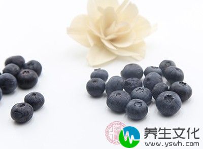蓝莓被称为“世界水果之王”，它的营养成分高于苹果、葡萄等水果