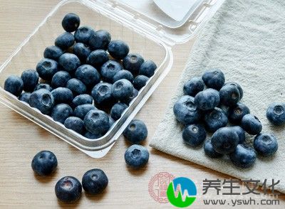 蓝莓中含有的营养物质对中早期癌症都具蓝莓果实中的花青素，是非常强的抗氧化剂
