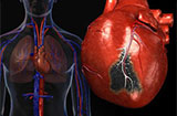 充血性心力衰竭日常如何保健？做好这三点就够了！