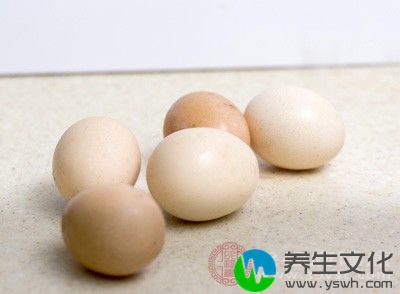 蛋清中的卵白蛋白
