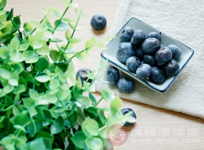 蓝莓的营养价值 女人吃它可以预防癌症