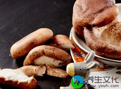 鲜香菇2朵、大米100克、淀粉适量