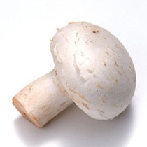 白蘑菇(鲜)