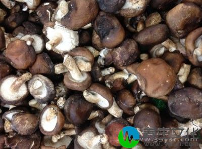 在日本的一项研究中发现，食用香菇对预防癌症是非常好的