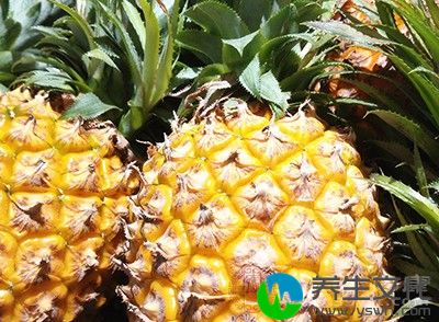 菠萝中含有菠萝蛋白酶