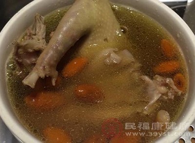鸽子汤的做法 原来鸽子汤的好处那么多