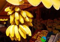 全球最长寿男性长寿秘笈：每天吃香蕉