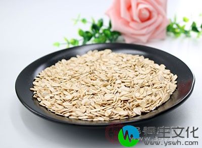 燕麦富含膳食纤维和植物蛋白质