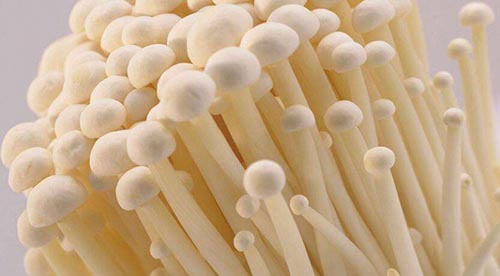 吃金针菇的好处 常吃竟可以提高免疫力