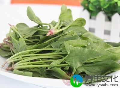 菠菜可以促进生长发育、增强抗病能力