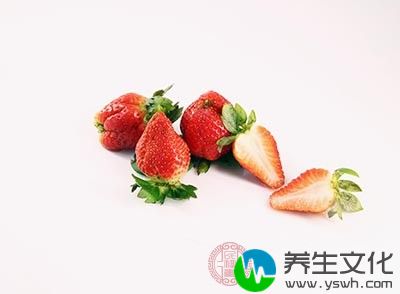 草莓中富含氨基酸、果糖、蔗糖、葡萄糖