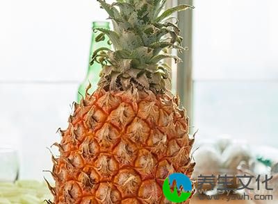 菠萝中含有的菠萝蛋白酶能够将食物中的蛋白质进行分解