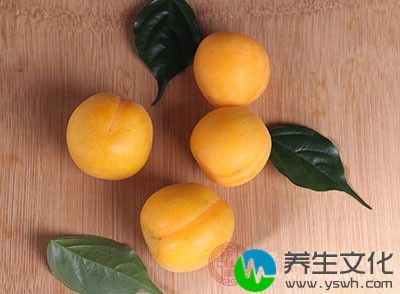 杏子里面有大量的维生素和多酚