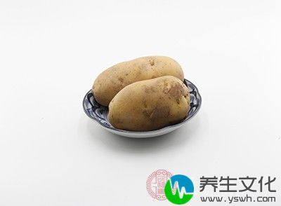 土豆中含有很多的蛋白质，甚至比大豆中的蛋白质含量都要优质