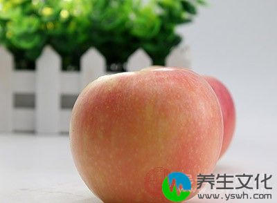 苹果含有大量的鞣酸、果胶和粗纤维等物质