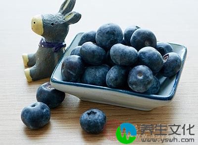 在平时多吃一点蓝莓可以帮助我们保护视力