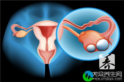 卵巢囊性回声是卵泡吗?