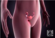 子宫内膜变厚是什么原因