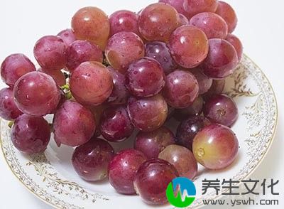 葡萄也是白露节气必吃的水果