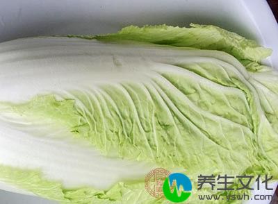 在天津有小寒吃黄芽菜的习俗
