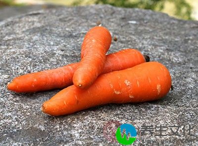 胡萝卜是我们生活中比较熟悉的一种蔬菜