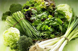 食用蔬菜要谨慎 七种蔬菜竟然有毒