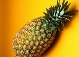 菠萝凤梨傻傻分不清 菠萝和凤梨究竟是不是一样的东西？