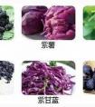 紫薯花青素与蓝莓、黑枸杞花青素有哪些区别？
