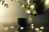 喝什么茶叶能减肥 这六种茶叶越喝越瘦