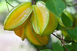 杨桃的六种吃法 既健康又美味