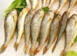 小黄鱼营养价值高  小黄鱼炖豆腐的做法