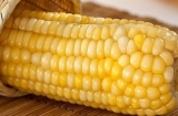 糯玉米、甜玉米……那么多玉米  你吃对了吗？