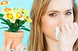 过敏性鼻炎最基本的饮食建议 过敏性鼻炎应该这样预防