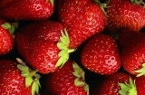 女人吃草莓竟有这好处  3种吃法挑战味蕾