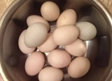 咸鸭蛋与咸鸡蛋的做法