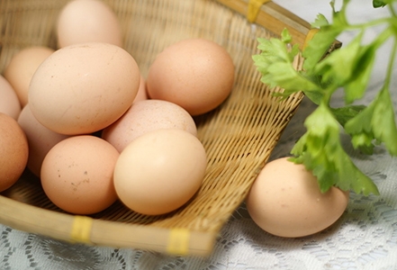 天天吃鸡蛋 健康损失十年你知道吗？