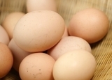 天天吃鸡蛋 健康损失十年你知道吗？